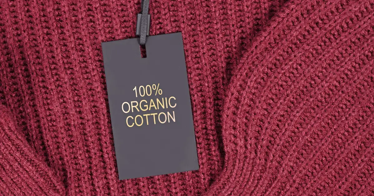 100% organic cotton sweater